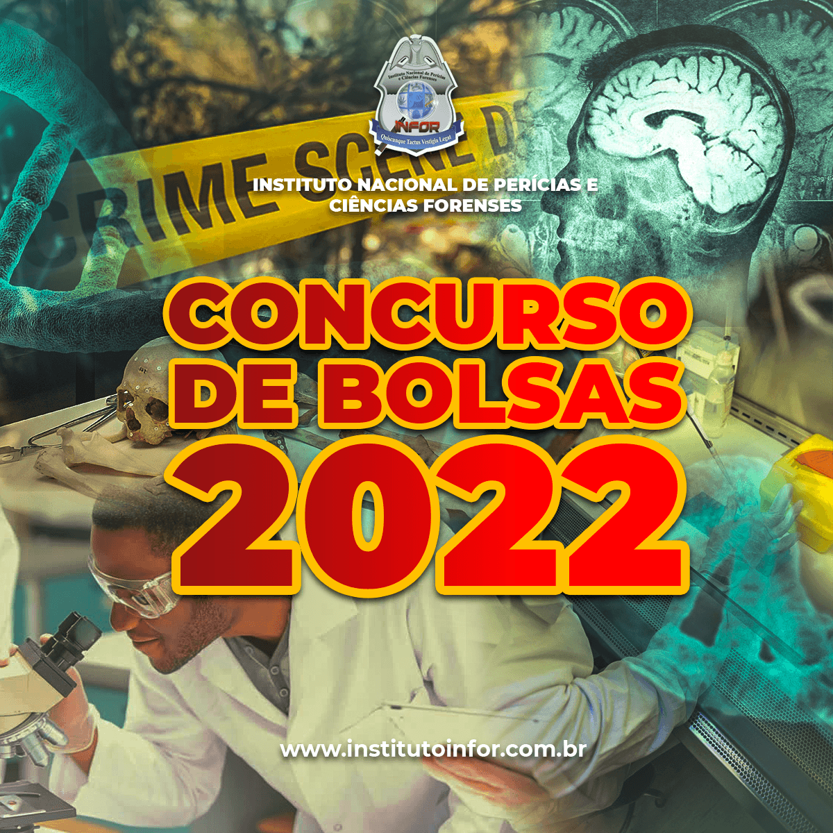 Concurso de Bolsas 2022